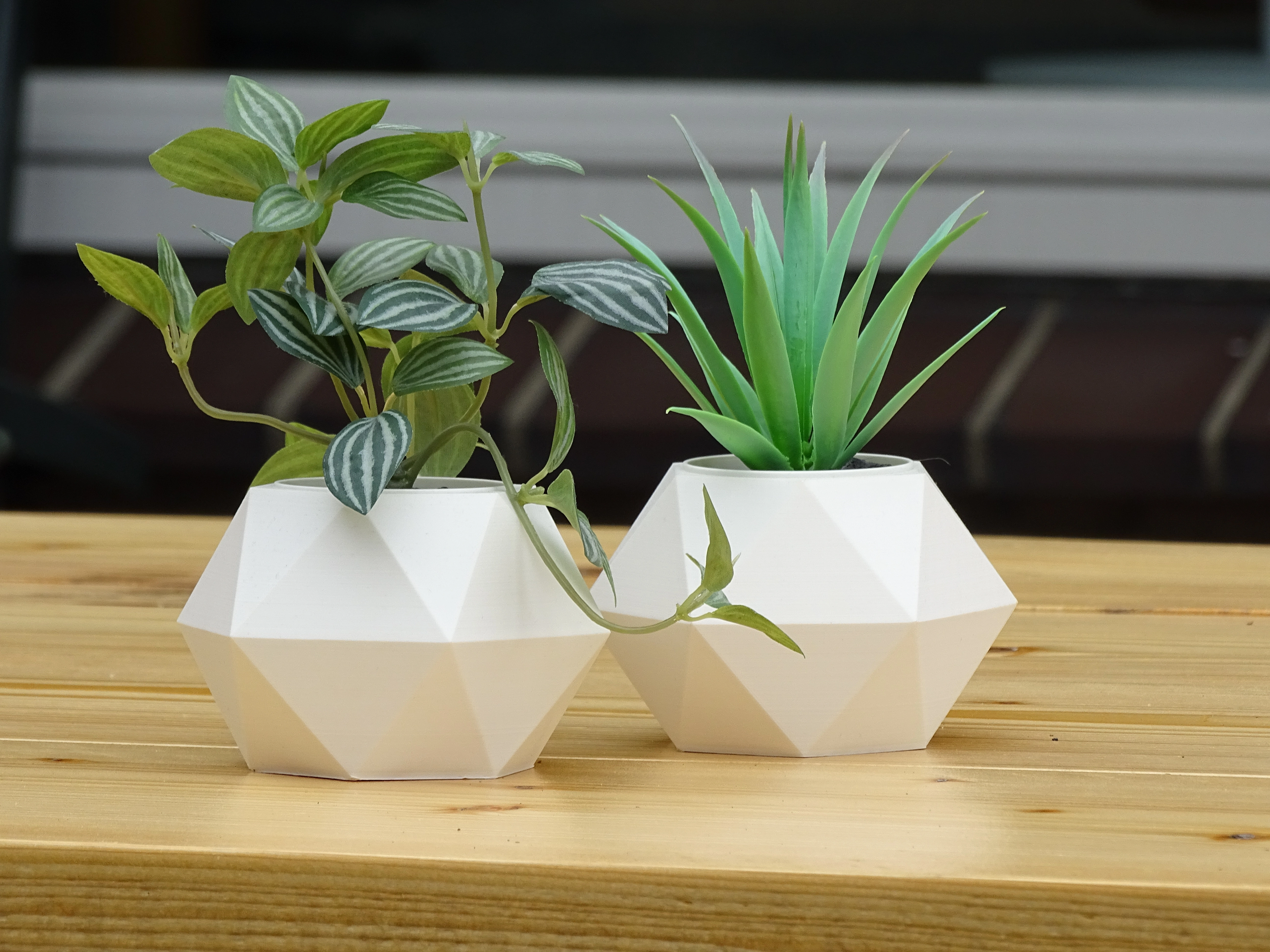 Geometrische plantenpotten met planten – 3D-geprint design voor moderne interieurdecoratie